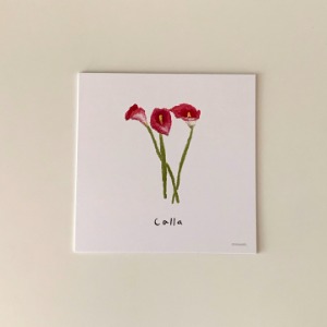 Flower postcard - Calla