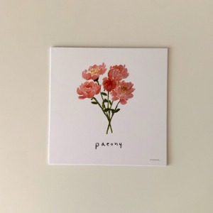 Flower postcard - Paeony